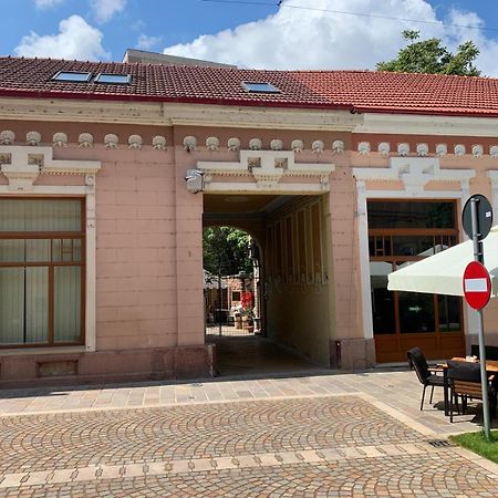 Casa Central Luxury オラデア エクステリア 写真